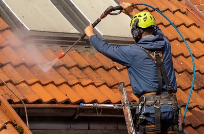Démoussage et hydrofuge de toiture à la Boissière